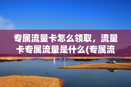 专属流量卡怎么领取，流量卡专属流量是什么(专属流量卡怎么用)
