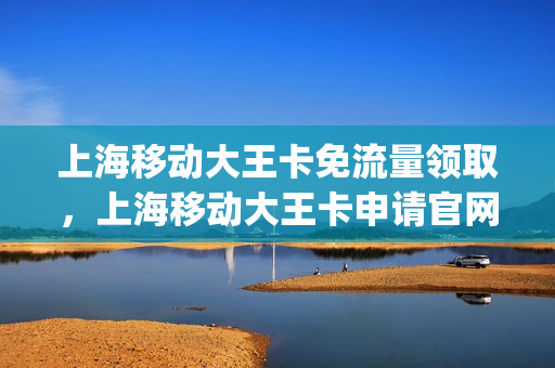 上海移动大王卡免流量领取，上海移动大王卡申请官网(移动大王卡免流是什么意思)