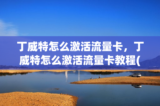 丁威特怎么激活流量卡，丁威特怎么激活流量卡教程(丁威特手机app官网)