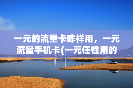 一元的流量卡咋样用，一元流量手机卡(一元任性用的流量卡)