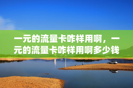 一元的流量卡咋样用啊，一元的流量卡咋样用啊多少钱(一元流量卡怎么收费)