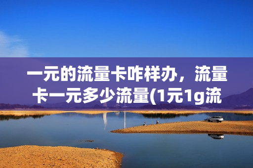 一元的流量卡咋样办，流量卡一元多少流量(1元1g流量卡划算吗)