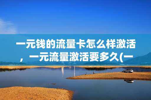 一元钱的流量卡怎么样激活，一元流量激活要多久(一元流量手机卡)