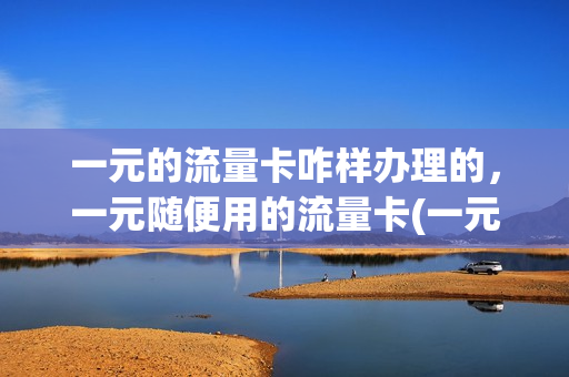 一元的流量卡咋样办理的，一元随便用的流量卡(一元流量卡怎么办)