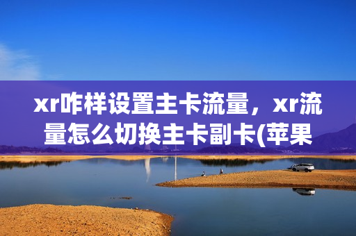 xr咋样设置主卡流量，xr流量怎么切换主卡副卡(苹果xr怎么设置用主卡流量)