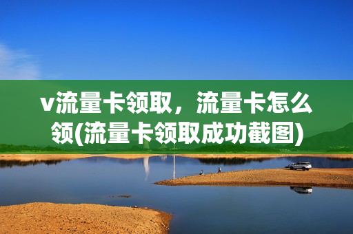 v流量卡领取，流量卡怎么领(流量卡领取成功截图)
