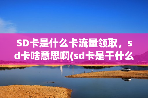 SD卡是什么卡流量领取，sd卡啥意思啊(sd卡是干什么用的)