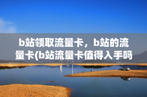 b站领取流量卡，b站的流量卡(b站流量卡值得入手吗)