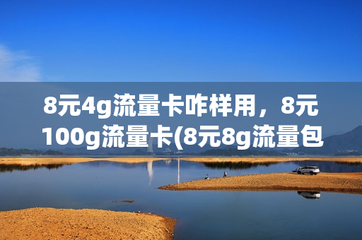 8元4g流量卡咋样用，8元100g流量卡(8元8g流量包(保有专用))