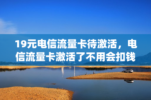 19元电信流量卡待激活，电信流量卡激活了不用会扣钱吗(电信流量卡已激活但无服务)