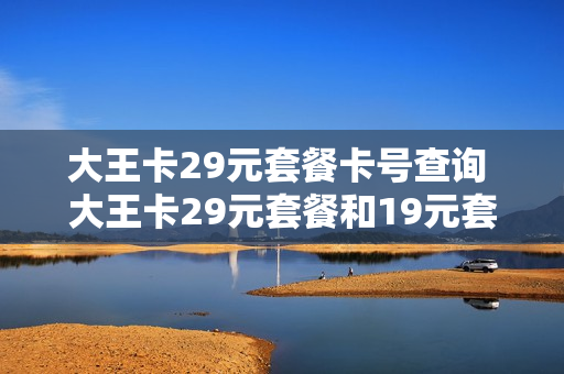 大王卡29元套餐卡号查询 大王卡29元套餐和19元套餐的区别