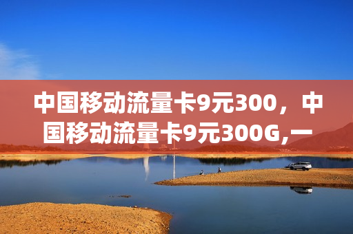 中国移动流量卡9元300，中国移动流量卡9元300G,一次性充值200(中国移动流量卡9.9元)