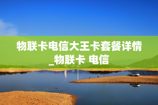 物联卡电信大王卡套餐详情_物联卡 电信