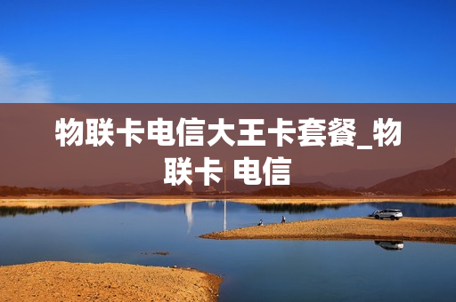 物联卡电信大王卡套餐_物联卡 电信