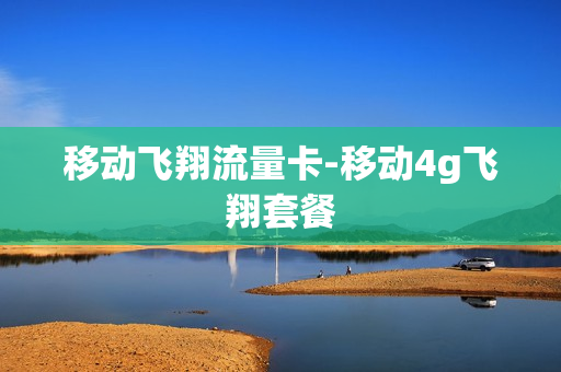 移动飞翔流量卡-移动4g飞翔套餐