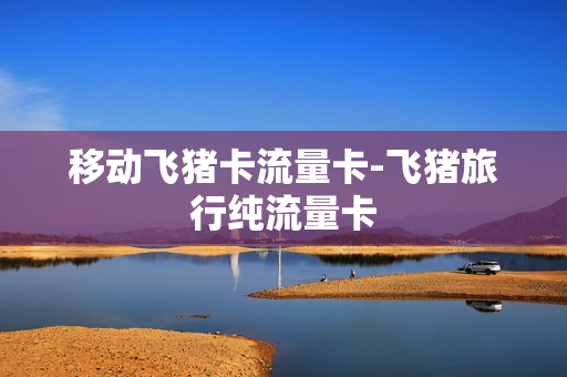 移动飞猪卡流量卡-飞猪旅行纯流量卡