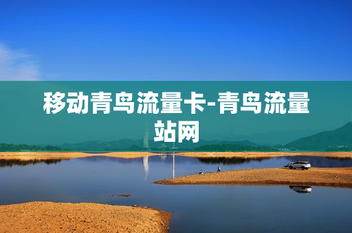移动青鸟流量卡-青鸟流量站网