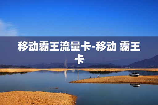 移动霸王流量卡-移动 霸王卡