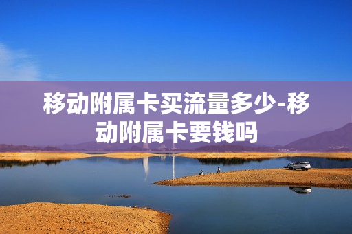 移动附属卡买流量多少-移动附属卡要钱吗