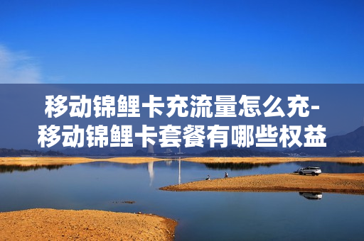 移动锦鲤卡充流量怎么充-移动锦鲤卡套餐有哪些权益
