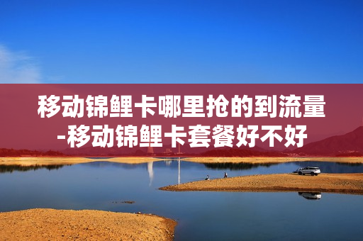 移动锦鲤卡哪里抢的到流量-移动锦鲤卡套餐好不好