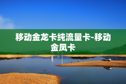 移动金龙卡纯流量卡-移动金凤卡