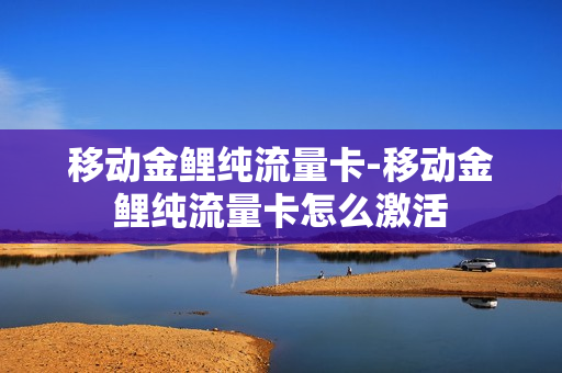 移动金鲤纯流量卡-移动金鲤纯流量卡怎么激活