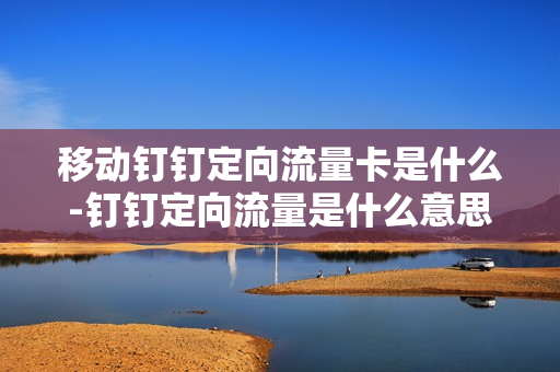 移动钉钉定向流量卡是什么-钉钉定向流量是什么意思