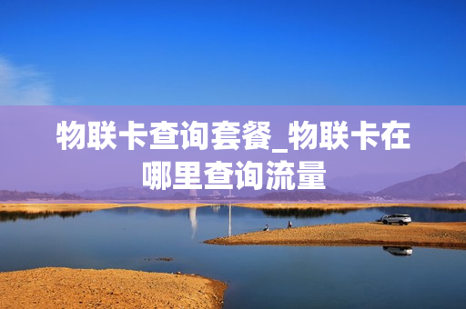 物联卡查询套餐_物联卡在哪里查询流量