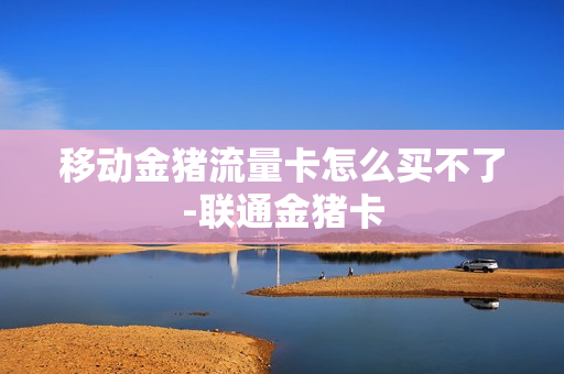 移动金猪流量卡怎么买不了-联通金猪卡