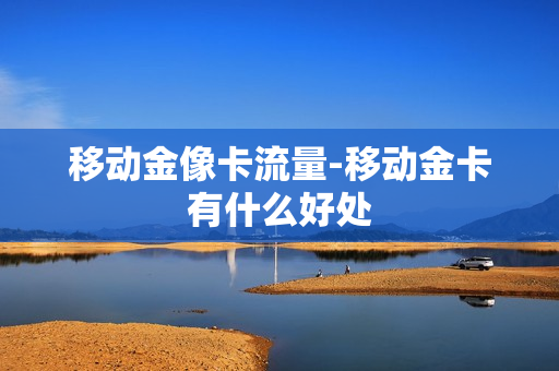 移动金像卡流量-移动金卡有什么好处