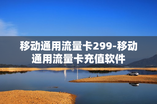 移动通用流量卡299-移动通用流量卡充值软件