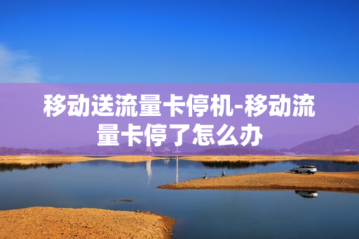 移动送流量卡停机-移动流量卡停了怎么办