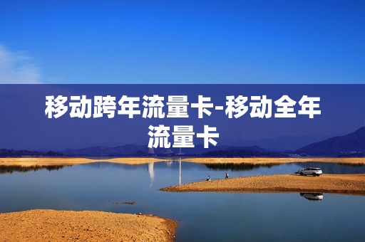 移动跨年流量卡-移动全年流量卡
