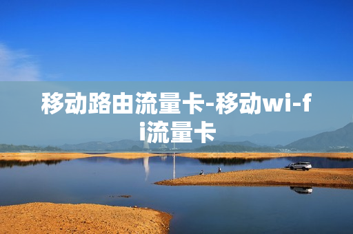 移动路由流量卡-移动wi-fi流量卡