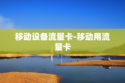 移动设备流量卡-移动用流量卡