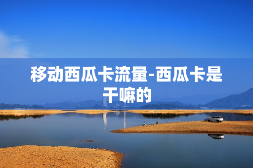 移动西瓜卡流量-西瓜卡是干嘛的