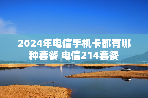 2024年电信手机卡都有哪种套餐 电信214套餐