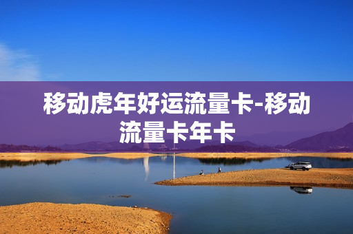 移动虎年好运流量卡-移动流量卡年卡