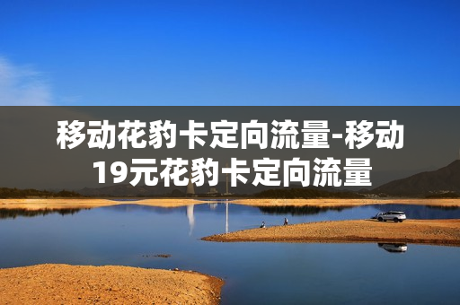 移动花豹卡定向流量-移动19元花豹卡定向流量