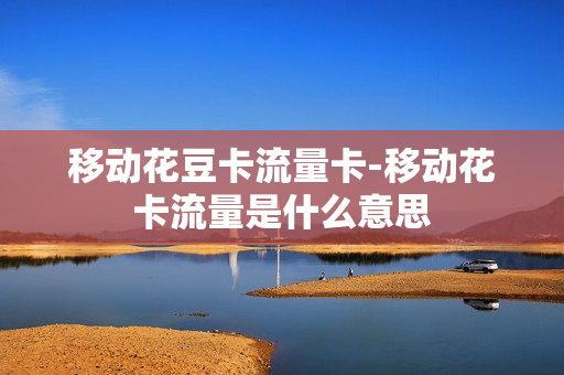 移动花豆卡流量卡-移动花卡流量是什么意思