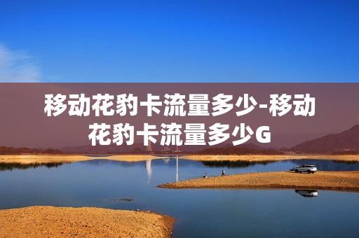移动花豹卡流量多少-移动花豹卡流量多少G