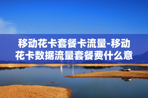 移动花卡套餐卡流量-移动花卡数据流量套餐费什么意思