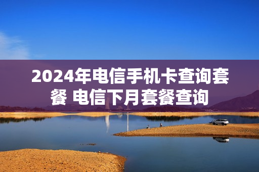 2024年电信手机卡查询套餐 电信下月套餐查询