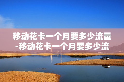 移动花卡一个月要多少流量-移动花卡一个月要多少流量够用