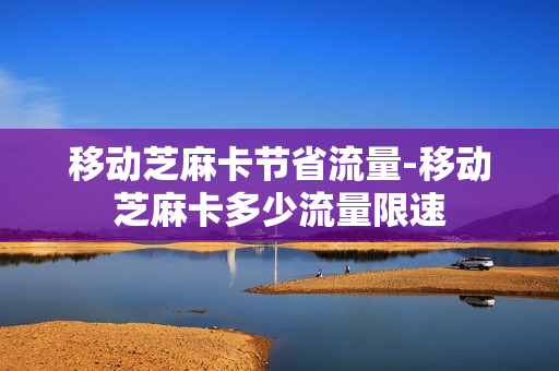 移动芝麻卡节省流量-移动芝麻卡多少流量限速