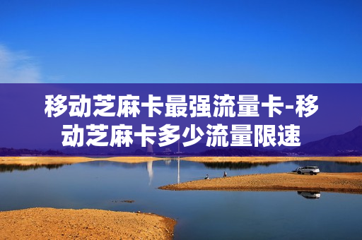 移动芝麻卡最强流量卡-移动芝麻卡多少流量限速
