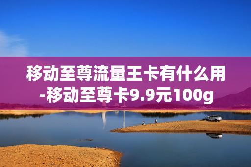 移动至尊流量王卡有什么用-移动至尊卡9.9元100g