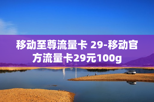 移动至尊流量卡 29-移动官方流量卡29元100g