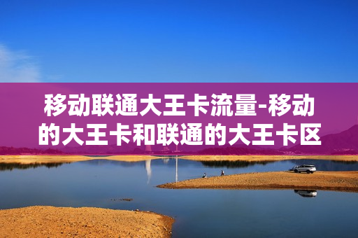 移动联通大王卡流量-移动的大王卡和联通的大王卡区别